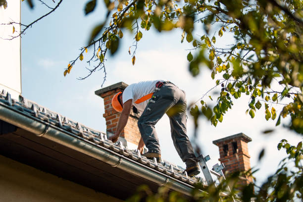 Best Metal Roofing Contractor  in Woodside, PA